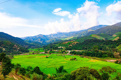 Scenic view of agricultural field against sky