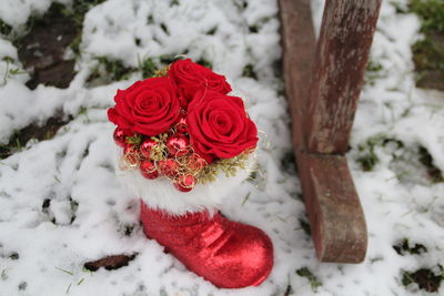 Red rose on snow covered field