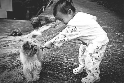 Cute girl playing with dog