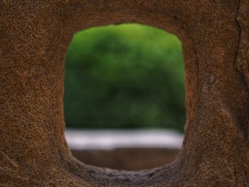 Close-up of tree trunk seen through hole