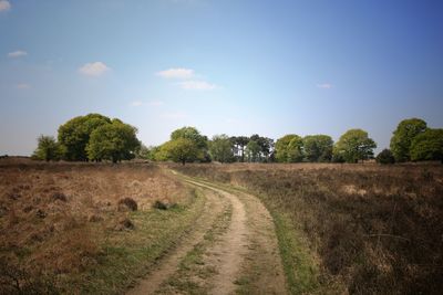 Dirt road amidst field against sky