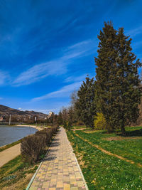 Footpath amidst trees against sky