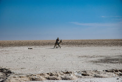 People riding horse on land against sky