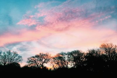 Silhouette of trees at sunset