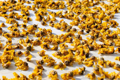 Close-up of bees on yellow leaves