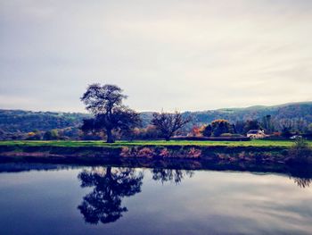 Reflection of trees in water against sky