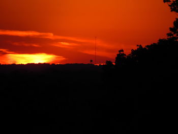 Silhouette trees against orange sky