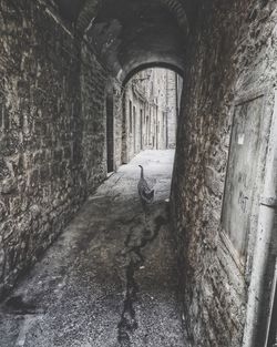Narrow corridor along old house