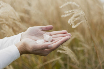 Cropped image of hands holding a stone
