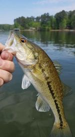 Close-up of hand holding fish in lake