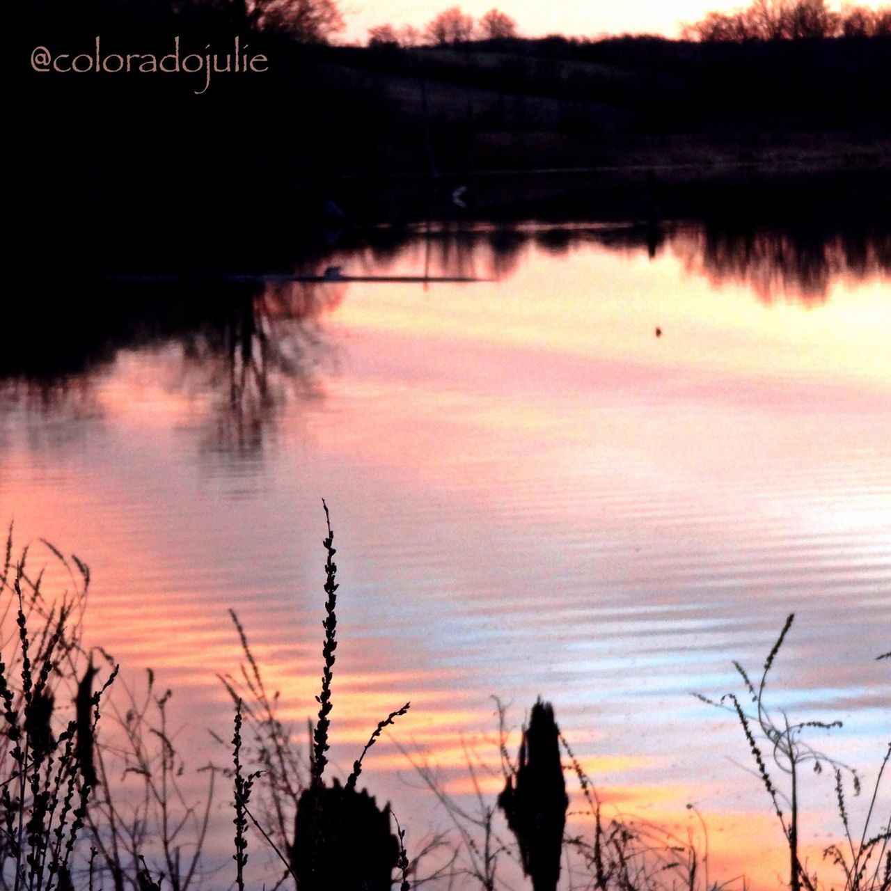 water, sunset, lake, reflection, silhouette, tranquil scene, tranquility, scenics, beauty in nature, nature, sky, tree, idyllic, lakeshore, river, plant, calm, non-urban scene, standing water, dusk