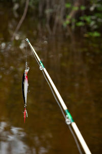 Fishing rod on rope over lake