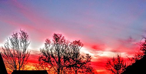 Silhouette trees against romantic sky at sunset