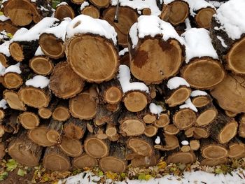 Snow on stacked logs during winter