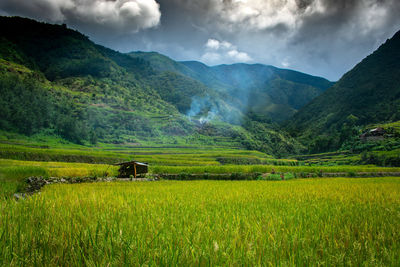 Scenic view of agricultural field against sky