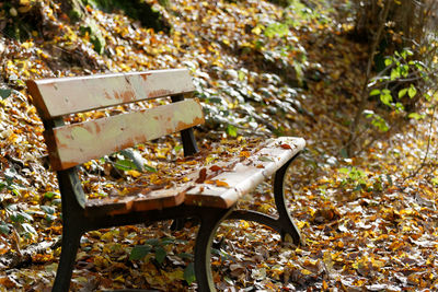 Close-up of empty bench in park