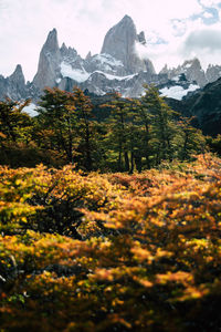 Scenic view of snowcapped mountains against sky in autumn