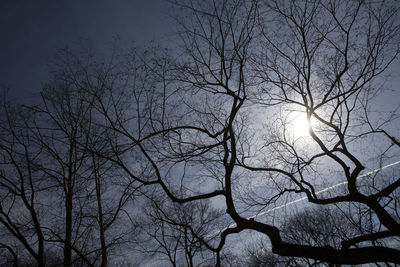 Low angle view of silhouette bare tree against sky