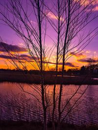 Silhouette of bare trees at lake during sunset
