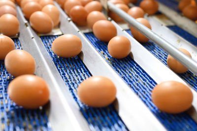 High angle view of eggs in container