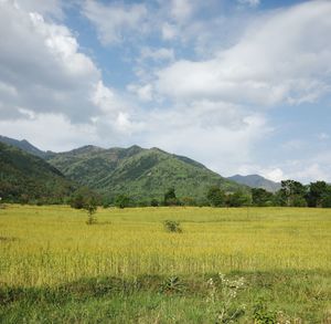 Scenic view of field against sky