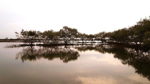 Reflection of trees in lake against sky