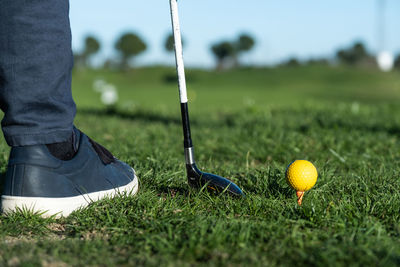 Low section of person standing with golf ball on golf course