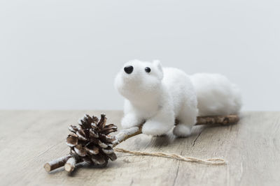 Close-up of a rabbit on table