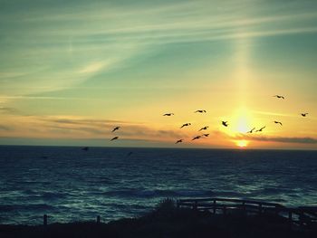 Silhouette birds flying over sea against sky during sunset