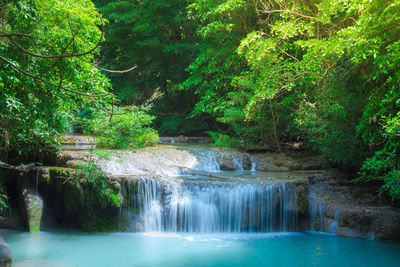 Scenic view of waterfall in forest