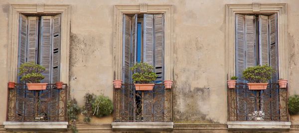 Potted plants on balcony of building