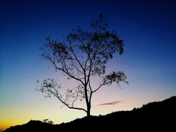 Silhouette tree against sky at sunset