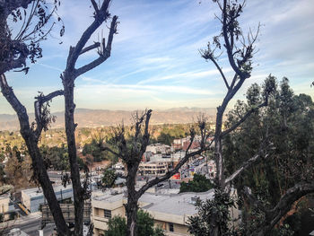 High angle view of trees and buildings in city