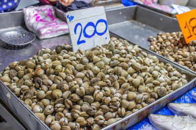 Freshly caught sea snails or shellfish for sale on a street market