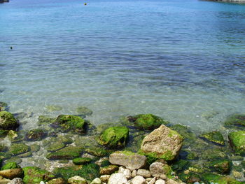 High angle view of rocks on beach