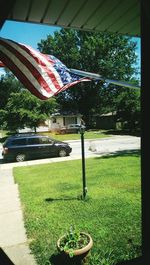 Trees growing in lawn
