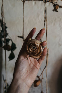 Close-up of hand holding dried rose