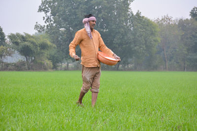 Indian farmer spreading fertilizer in the wheat field