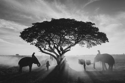 People riding horse on field against sky