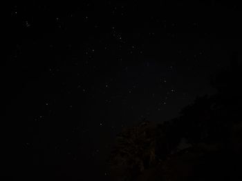 Low angle view of silhouette trees against sky at night