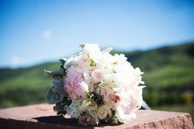 Close-up of rose bouquet