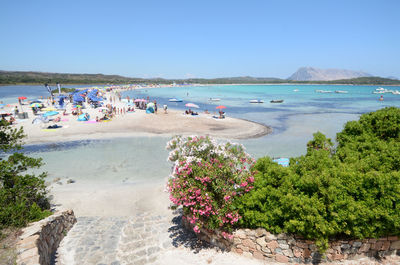 Scenic view of beach against clear sky