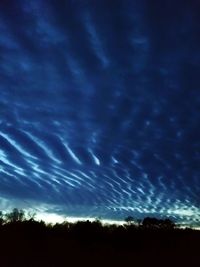 Silhouette trees against sky at night