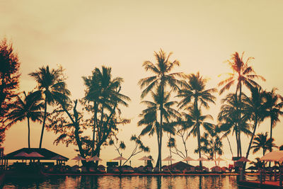 Palm trees by sea against sky during sunset