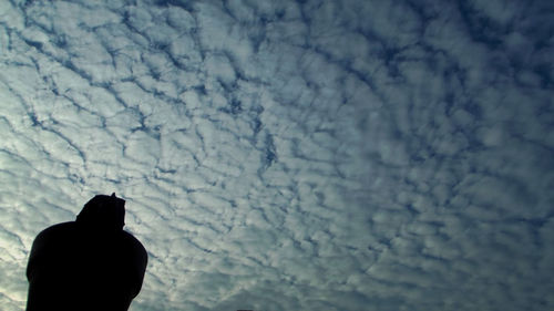 Rear view of silhouette man standing against sky