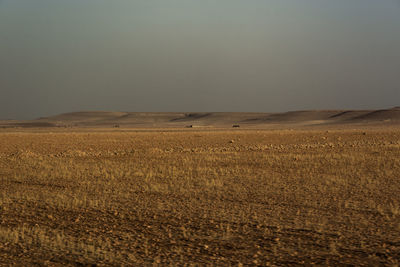 Scenic view of desert against clear sky