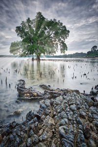 Scenic view of lake against sky