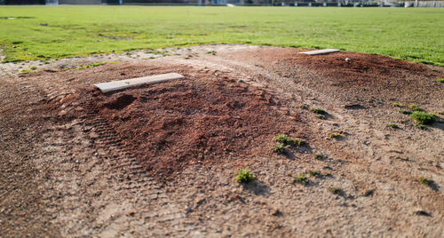 Scenic view of field