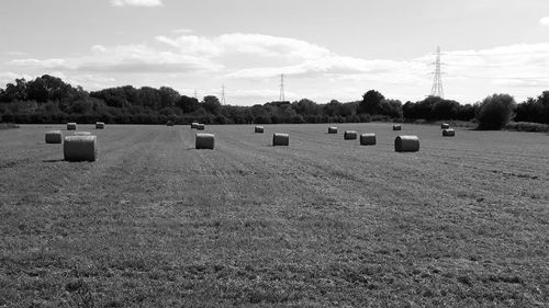 Hay bales on field against sky