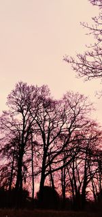 Low angle view of silhouette bare trees against sky during sunset